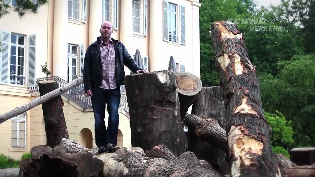 Ausflüge mit dem ESWE-Bus: Linie 24