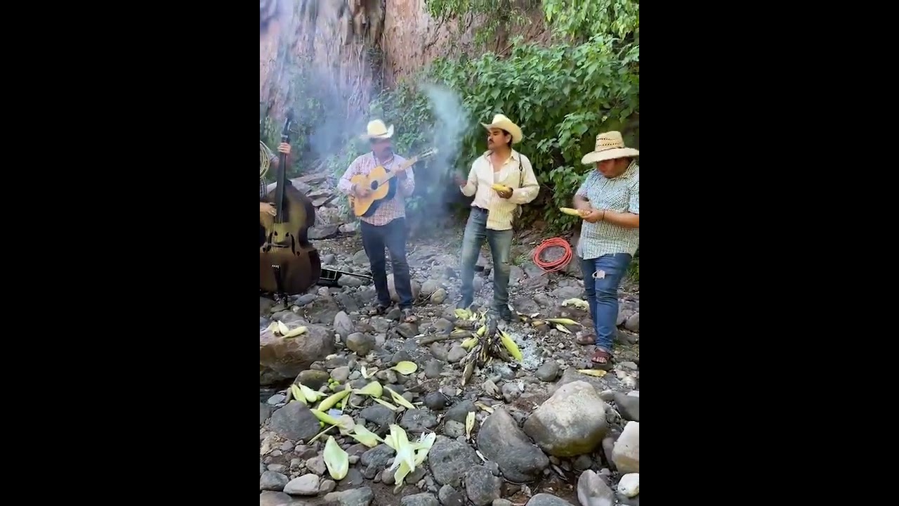 cuando salgo alos campos-ANDRES ARAUJO Y SU RANCHERO AL  100-LOS CABALLEROS-EL COLORADO DEL TOLOCHE