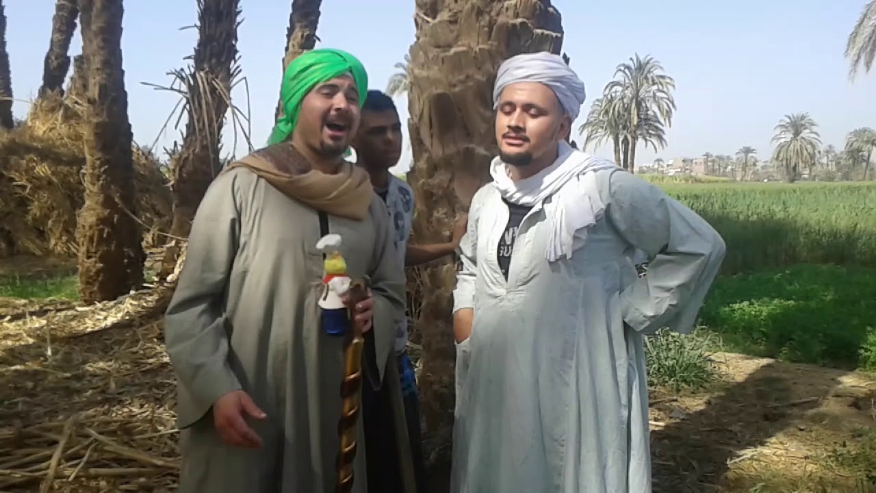 صعيدي بيدور علي اثار تحت النخله والشيخ نصب عليه هتموت من الضحك