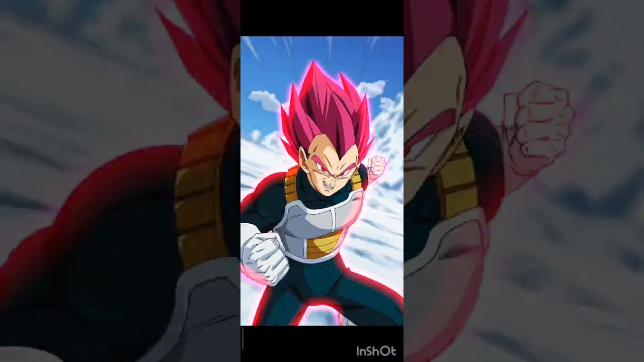 MISION BUSCADOR DE ESFERAS DE DRAGON STAGE 8 BLUE ZONE