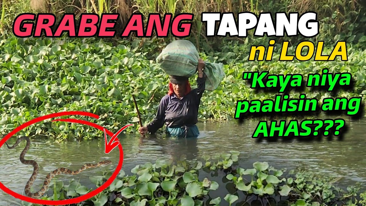 NAKAKA TINDIG BALAHIBO ANG GINAGAWA NI NANAY ANTONINA, BUWIS BUHAY!