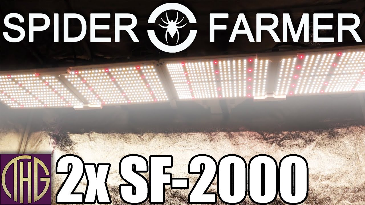 TWO Spider Farmer SF-2000 Grow Lights In Their 27