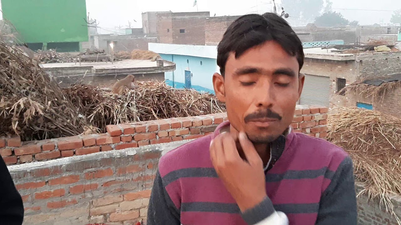 Shavez bhai Islamnagar 11 kabutaron Ki Baazi Jila badayun Sandeep bhai satoli wale se a Bazi