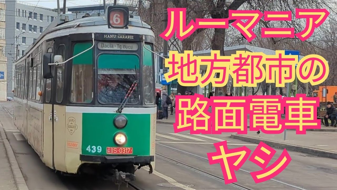 【ヤシの路面電車】