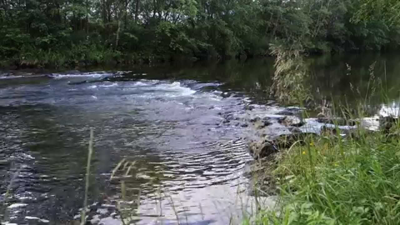 Atlantic Salmon - Single Handed Flyfishing- Norway 2015 - Salmonfishing Norway