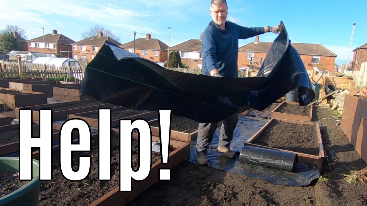 Gardening - Laying 100mts Weed Membrane Fabric in the Allotment