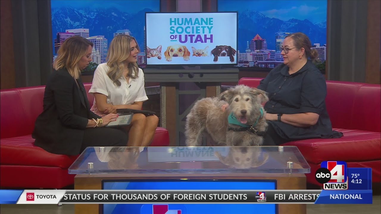 Humane Society 'Bark at the Moon' event coming up at the Gateway