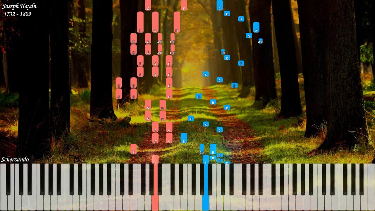 Joseph Haydn - Sonata No 49 in C sharp Minor Hob. XVI/36 | Piano Synthesia | Library of Music