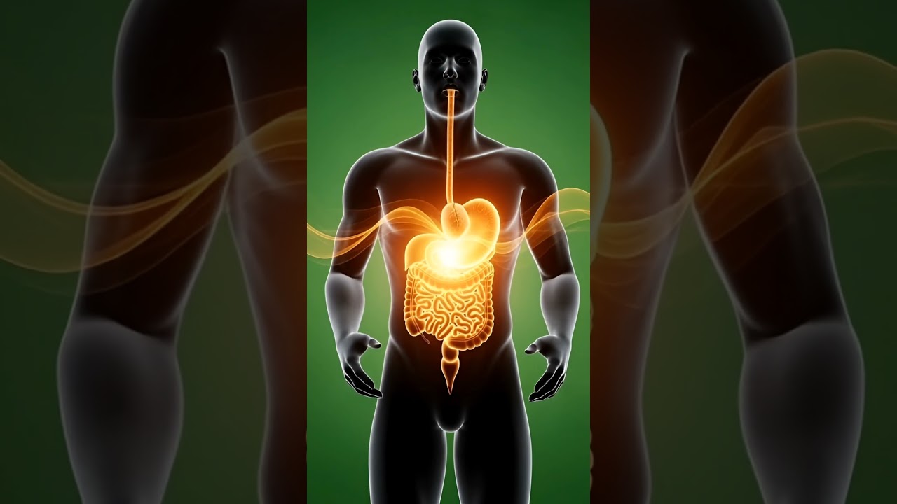 What Happens to Your Body When You Eat a Burger? 🍔🧠 | Doctor Explains Burger 