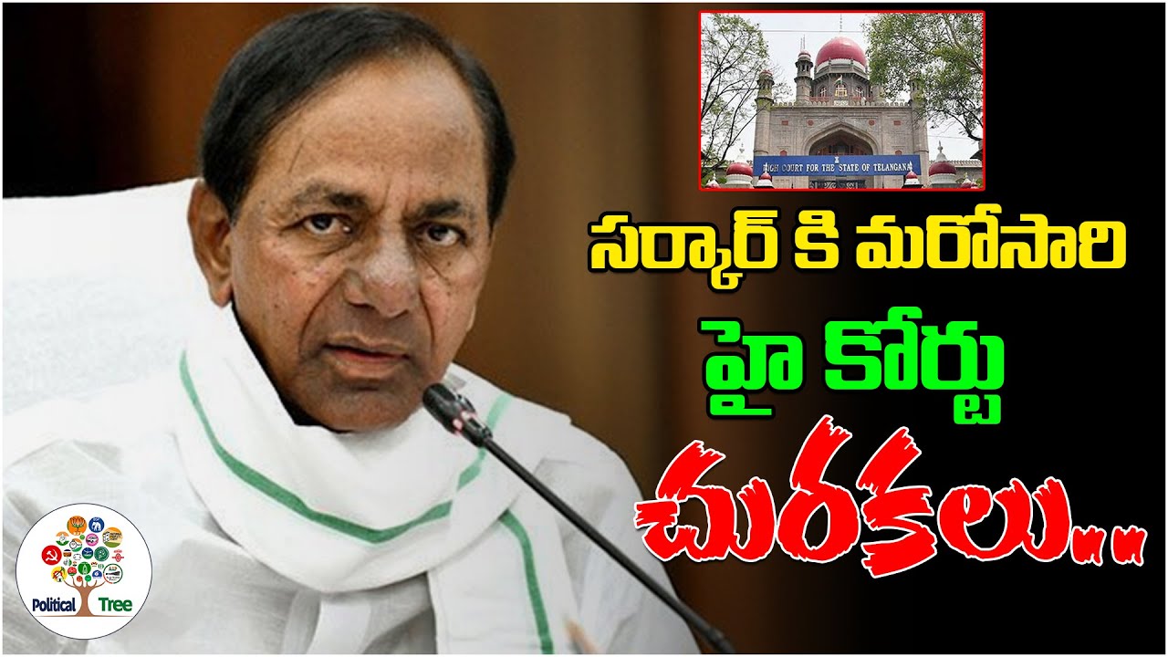 High Court Fires On Telangana Government For Announcement Of Reopening Schools | Political Tree