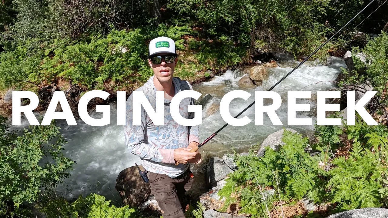 Бурлящий ручей в Восточной Сьерре, техническая рыбалка на тенкару с Dragontail Kaida, июнь 2024 г...