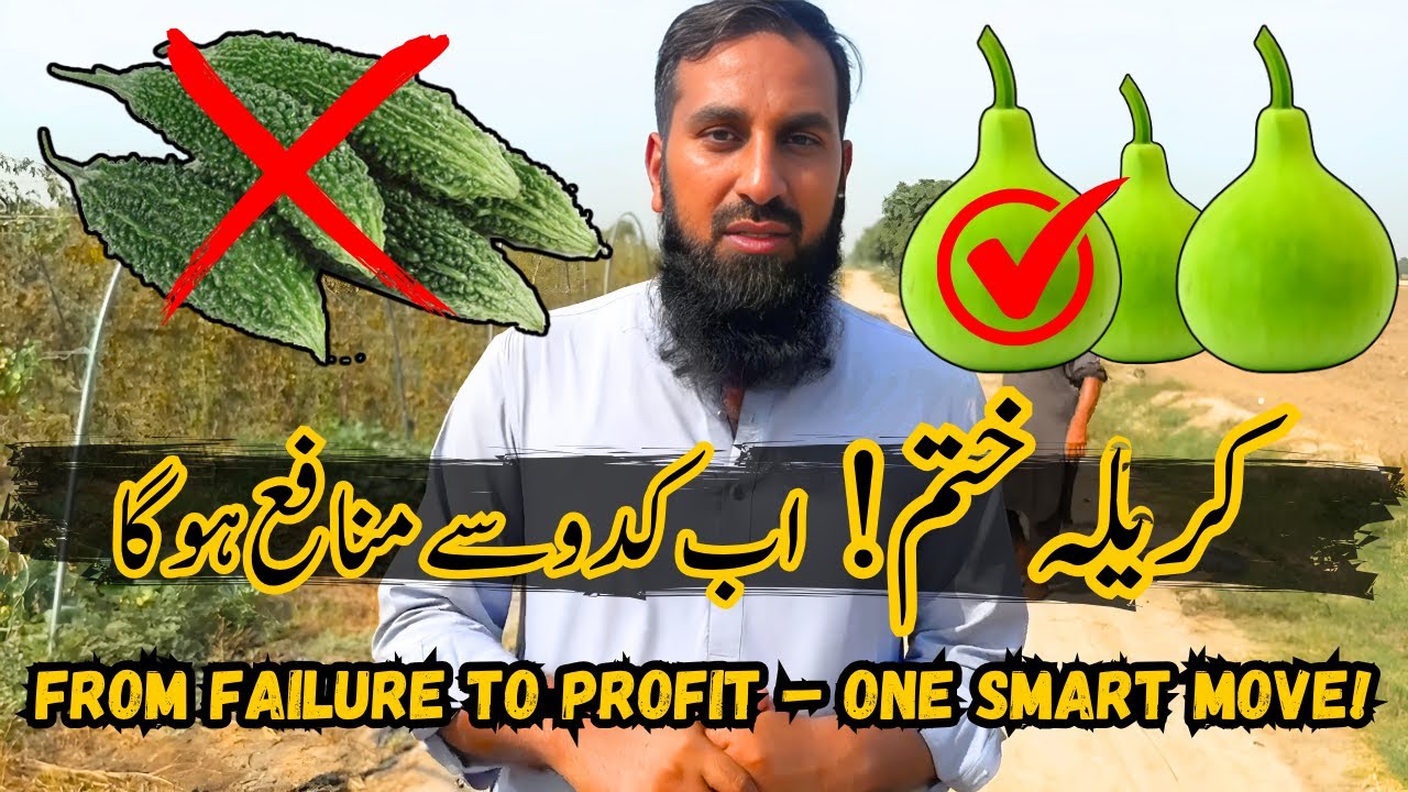 We Turned Failure into Profit with One Bold Move! Kareelay Gaye, Kaddu Aaya &ndash; Munafa Time 💰