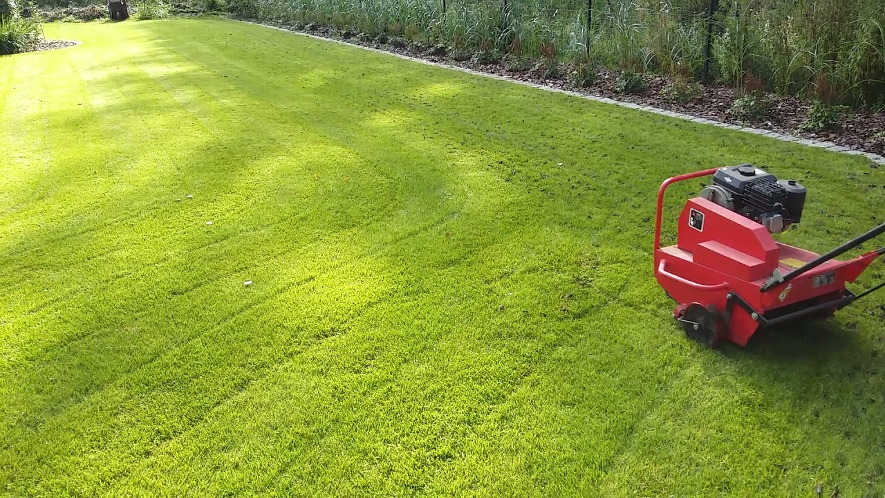 Aeracja trawnika  aeratorem WEIBANG WB457AB