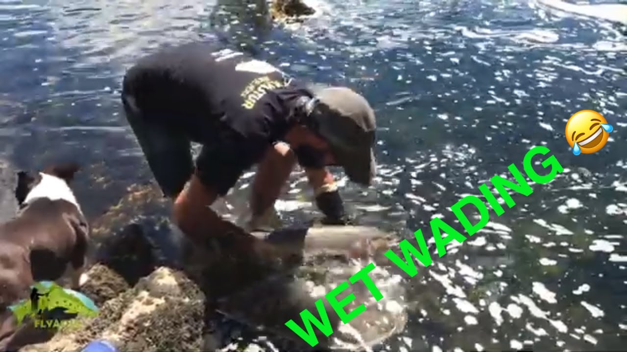 SALMONES A MOSCA, WET WADING (Flyastur Guias)