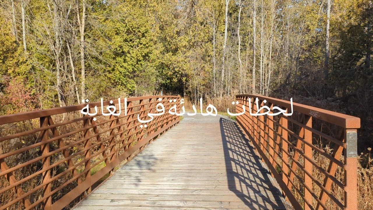 اجمل باقة اغاني #فيروزية مع رحلة مشي في الغابة # صباح رائع
