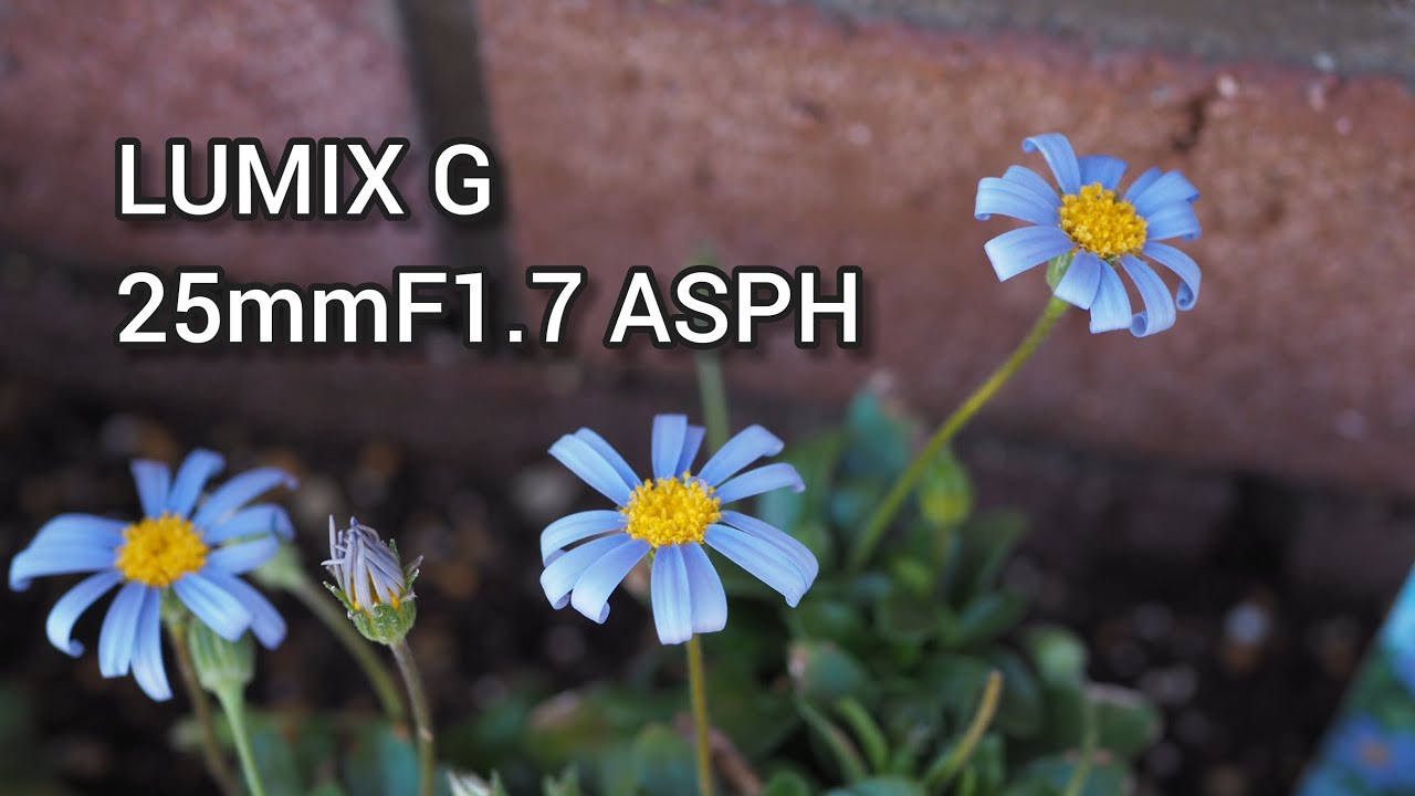 LUMIX G 25mm F1.7 ASPH.H-H025-K 曇り空 参考動画 撮影OLYMPUS OMD EM-10 MK2