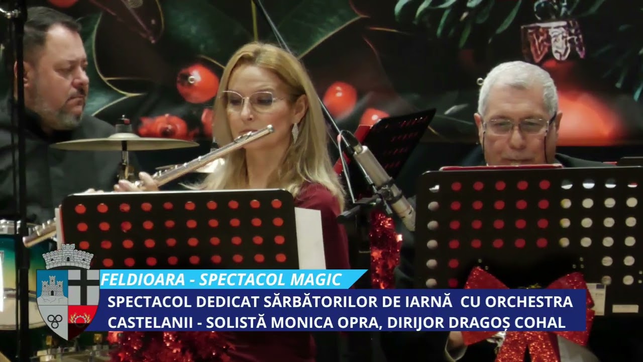 Spectacol Magic Castelanii