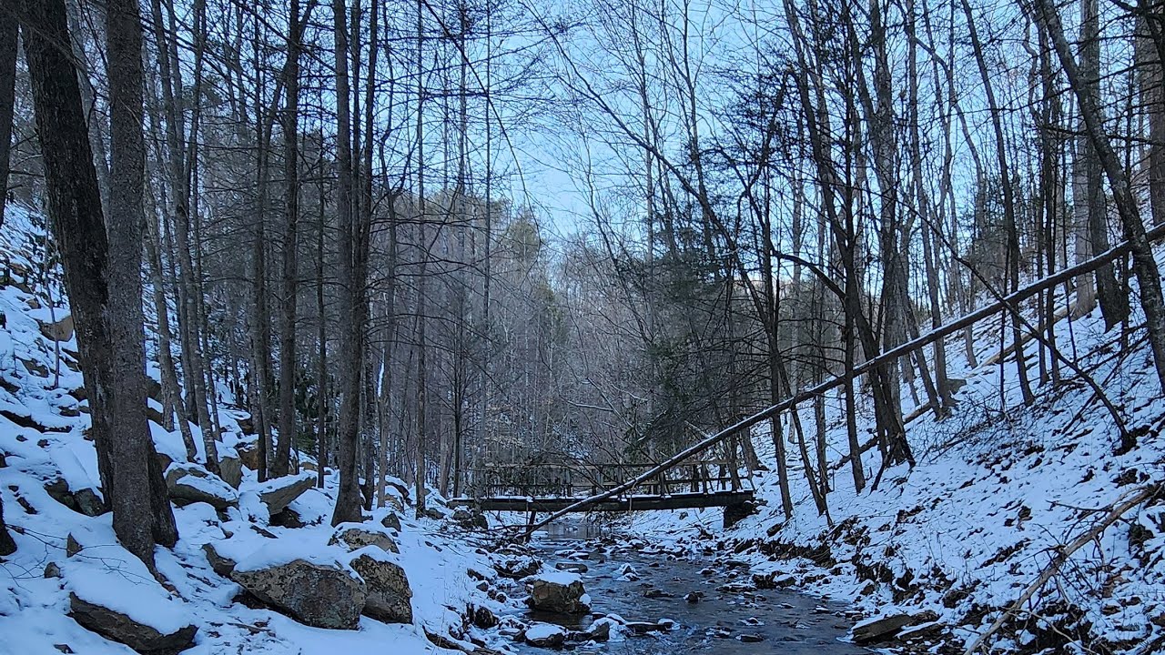 Winter Vibes-Tennessee 