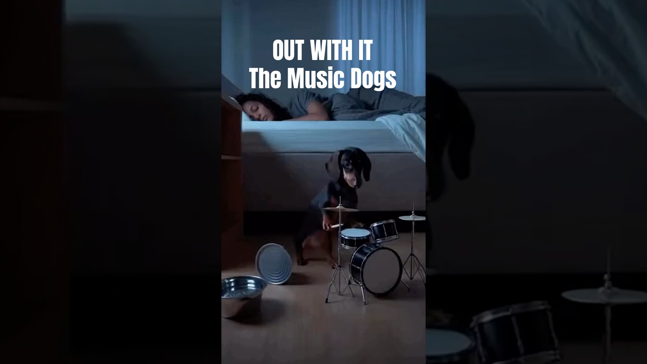 OUT WITH IT - The Music Dogs 