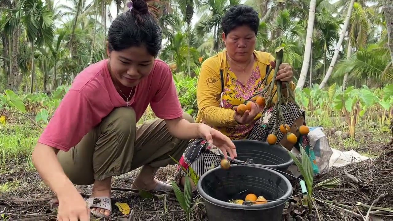 SATU PASUKAN PERGI PANEN PINANG UNTUK DI JUAL