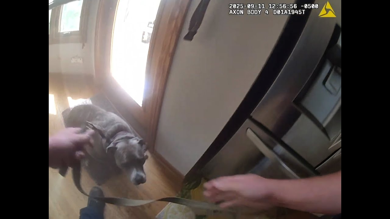 Dog rescued in Aurora house fire led investigator to his leash while being rescued