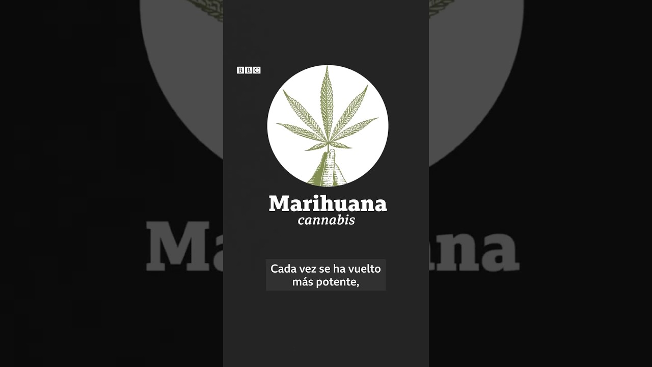 C&oacute;mo afecta la marihuana al cerebro #bbcmundo #ciencia