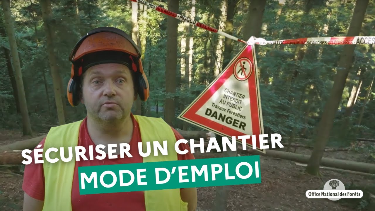 Comment les forestiers de l'ONF s&eacute;curisent les chantiers forestiers