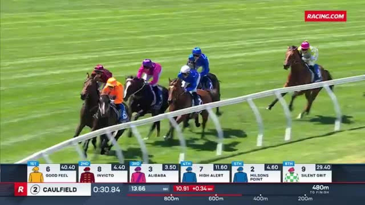 Alibaba Wins Blue Diamond C&G Preview | One To Follow Emerges