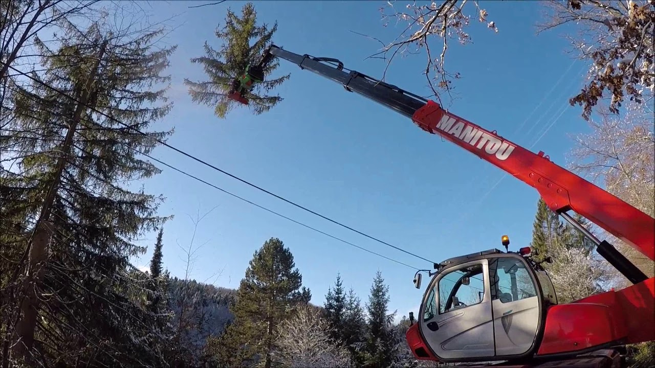 Forstbetrieb Häußler GbR bei der Problembaumfällung mit Manitou MRT 2550 + und Dorfmeister Fällkopf
