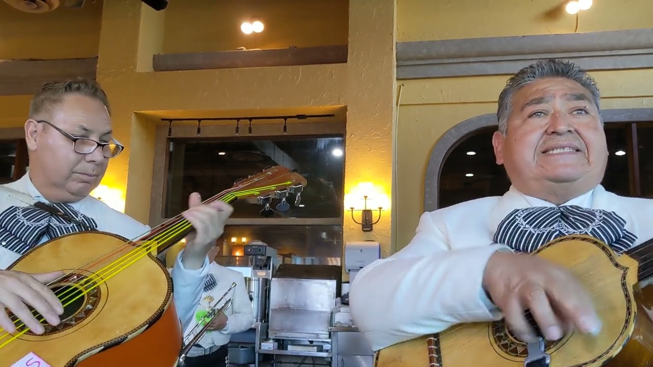 Por Mujeres Como Tu - Mariachi Emperadores De Mexico: Galveston 2 (3-19-2023) @SalsasRestaurant