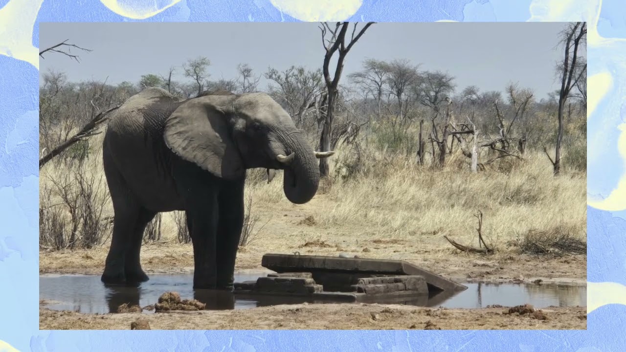 Solo Bike Trip - Botswana and Namibia 