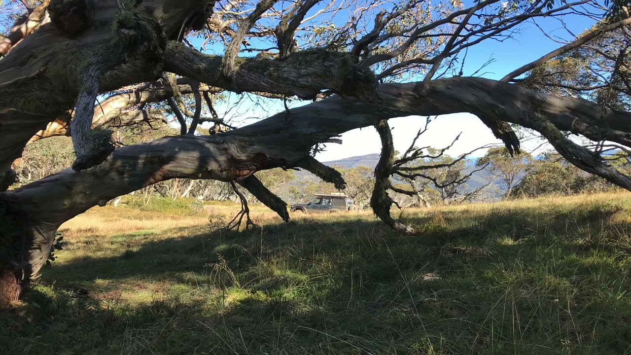 Photos from my over night trip to Mt Stirling, Craigs hut, lovicks, bluff and GGS hut. Plus more