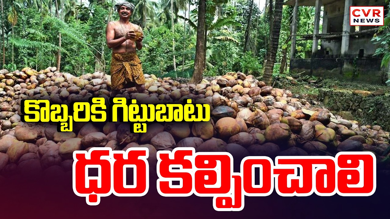 రైతుల సంక్షేమం కోసం కొబ్బరి ధర పెంపు అవసరం | Coconut Farmers Price Demand | CVR News