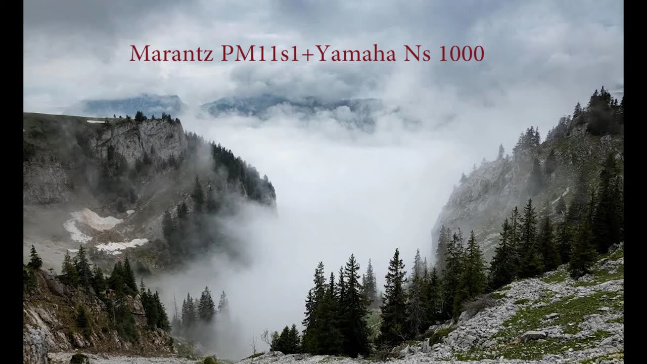 Marantz pm11s1 vs Marantz pm12se vs Marantz pm11s3+marantz 6003