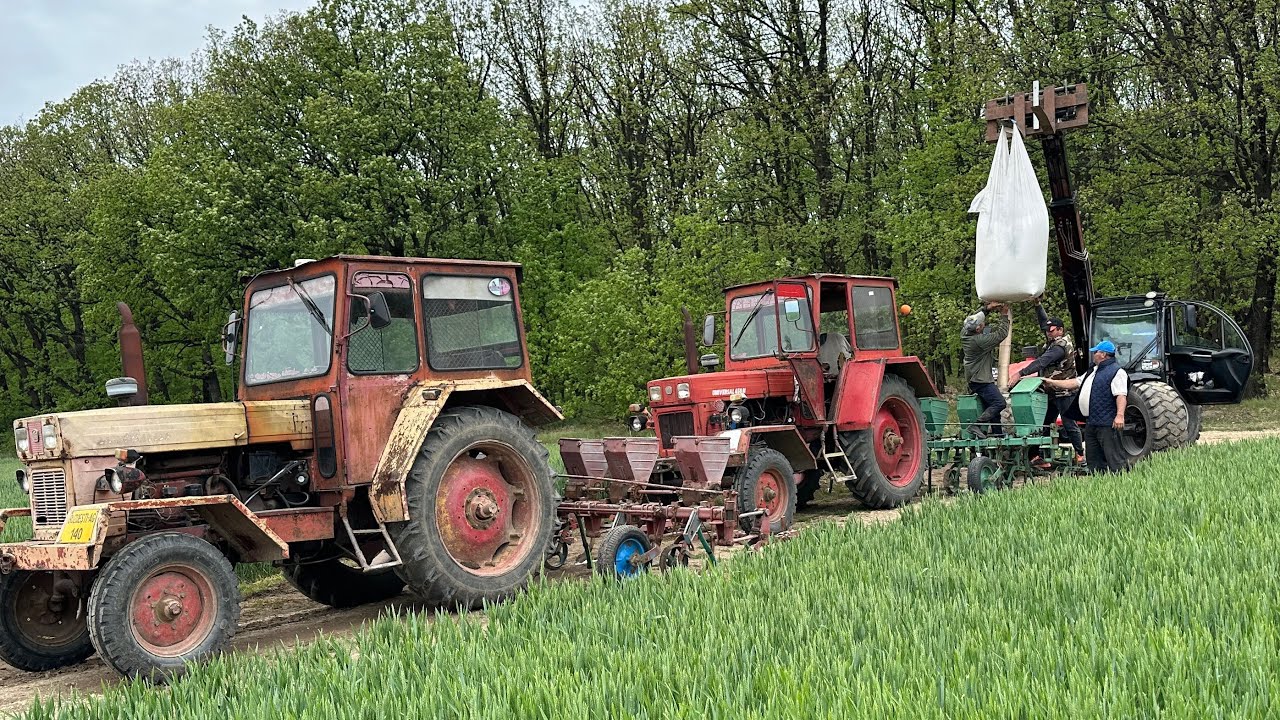 U650 utb in FORTA la prasit #tractorvideo #utb #u650 #românesc #farmer #farmers #agrovlogs #fy #fyp