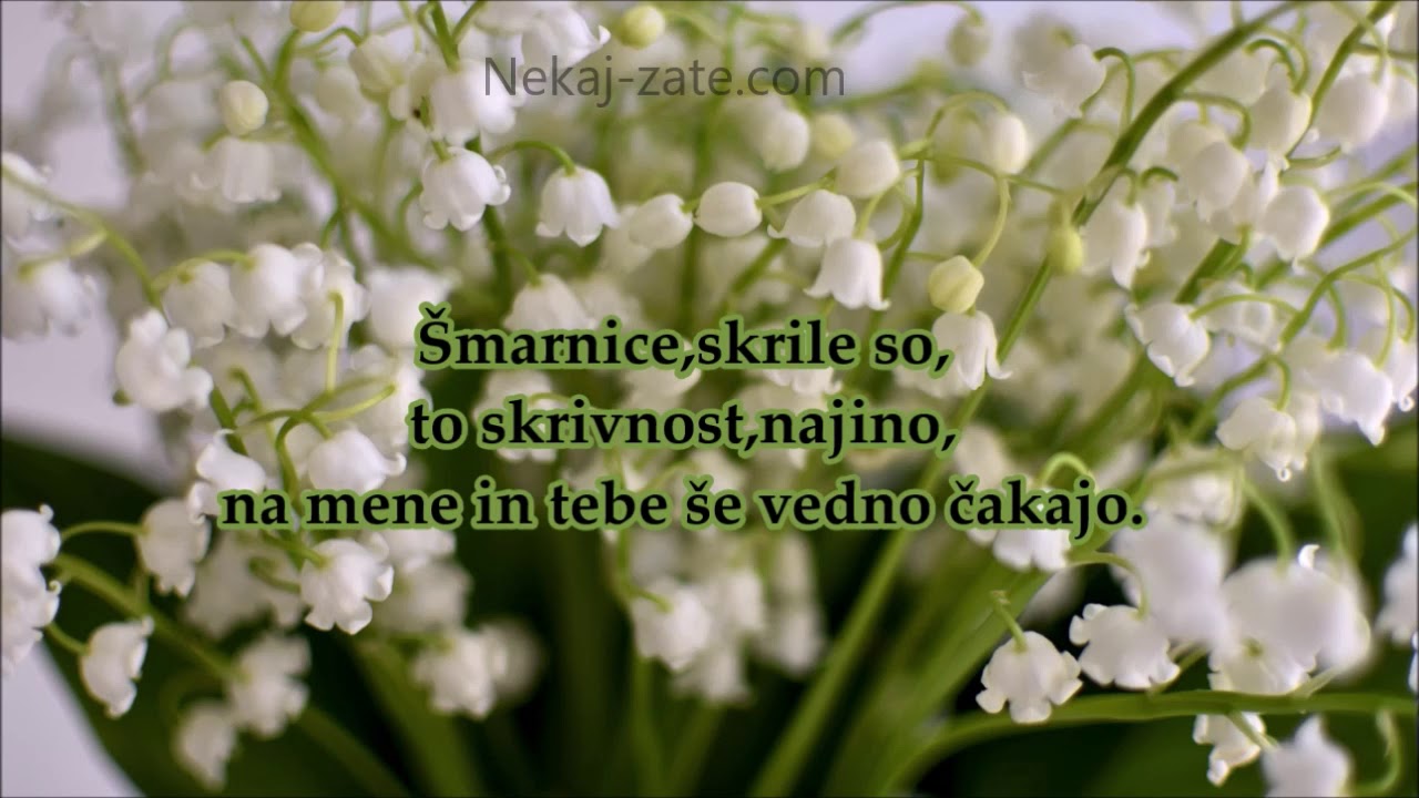 Ko šmarnice spet zadehtijo ~ Boris Kopitar