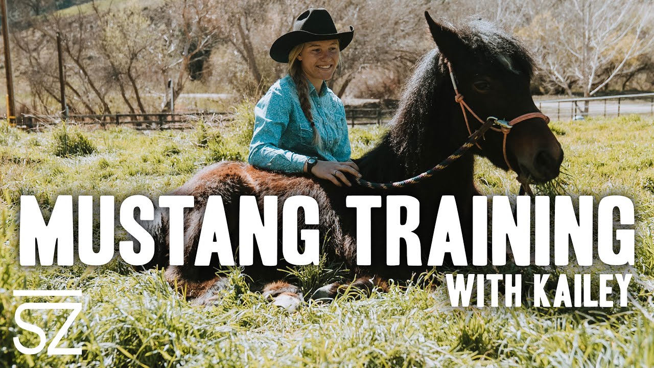 Training Wild Mustangs | 38 Day Training Update with Kailey