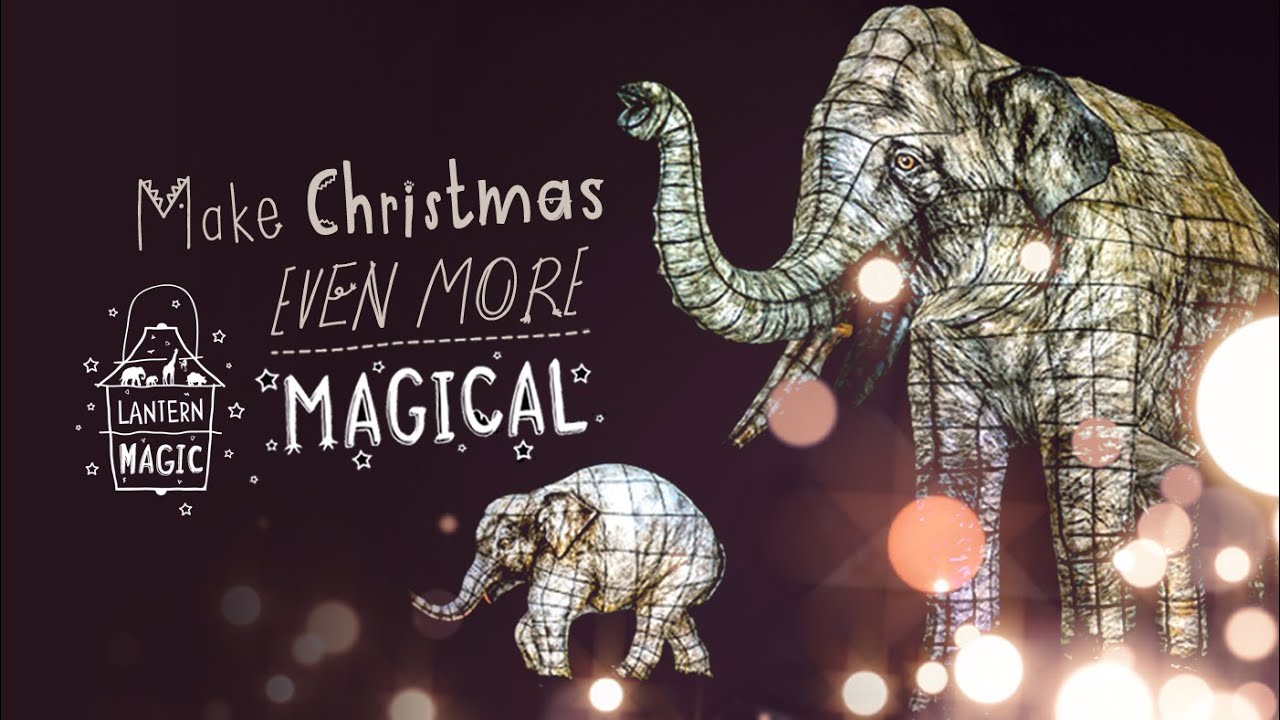 Lantern Magic - Christmas at Chester Zoo