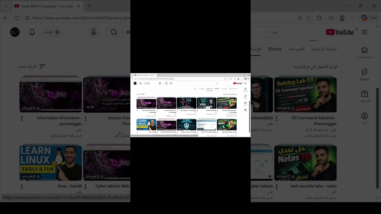 XSS Vulnerability - learn web penetration test