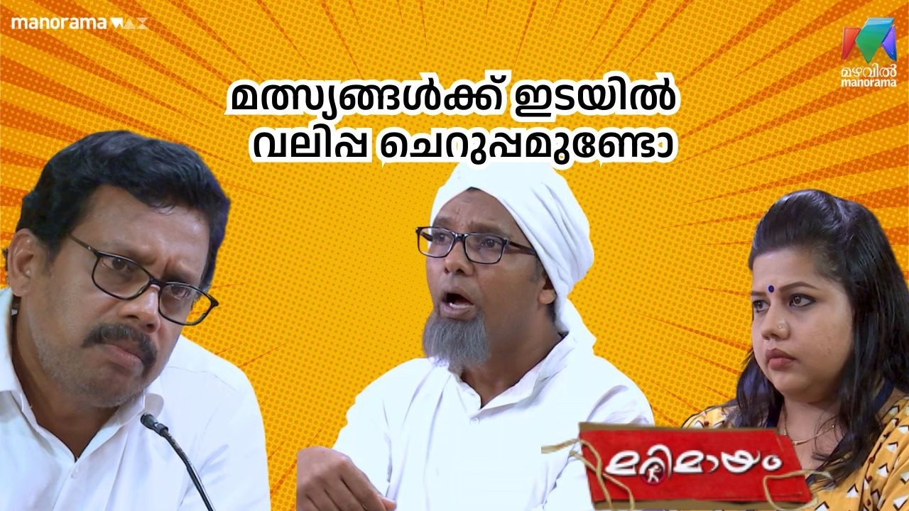 മത്സ്യങ്ങൾക്ക് ഇടയിൽ വലിപ്പ ചെറുപ്പമുണ്ടോ    #bestofmarimayam | #mazhavilmanorama