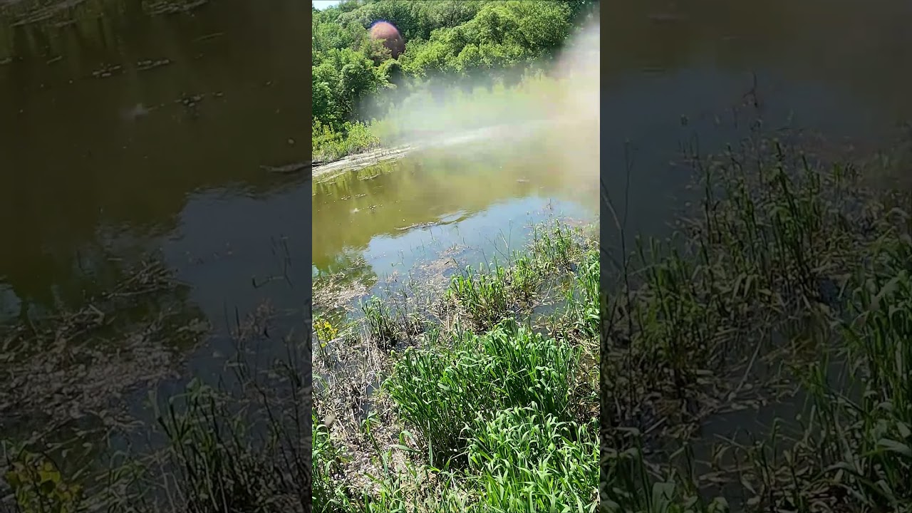Catching All Fish Species in MN, Part 6: The Channel Catfish 