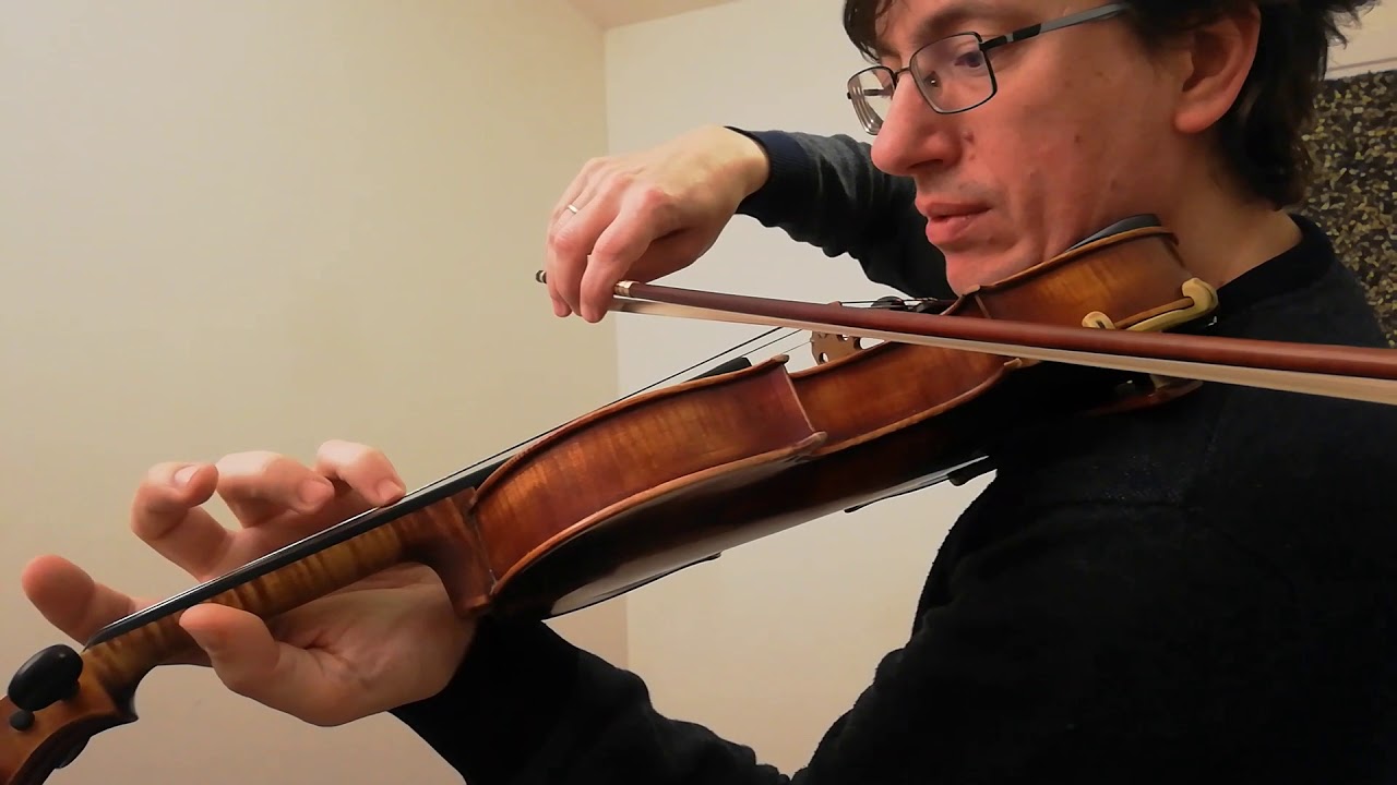 La pressione delle dita della mano sinistra del violinista / Violin left hand fingers pressure