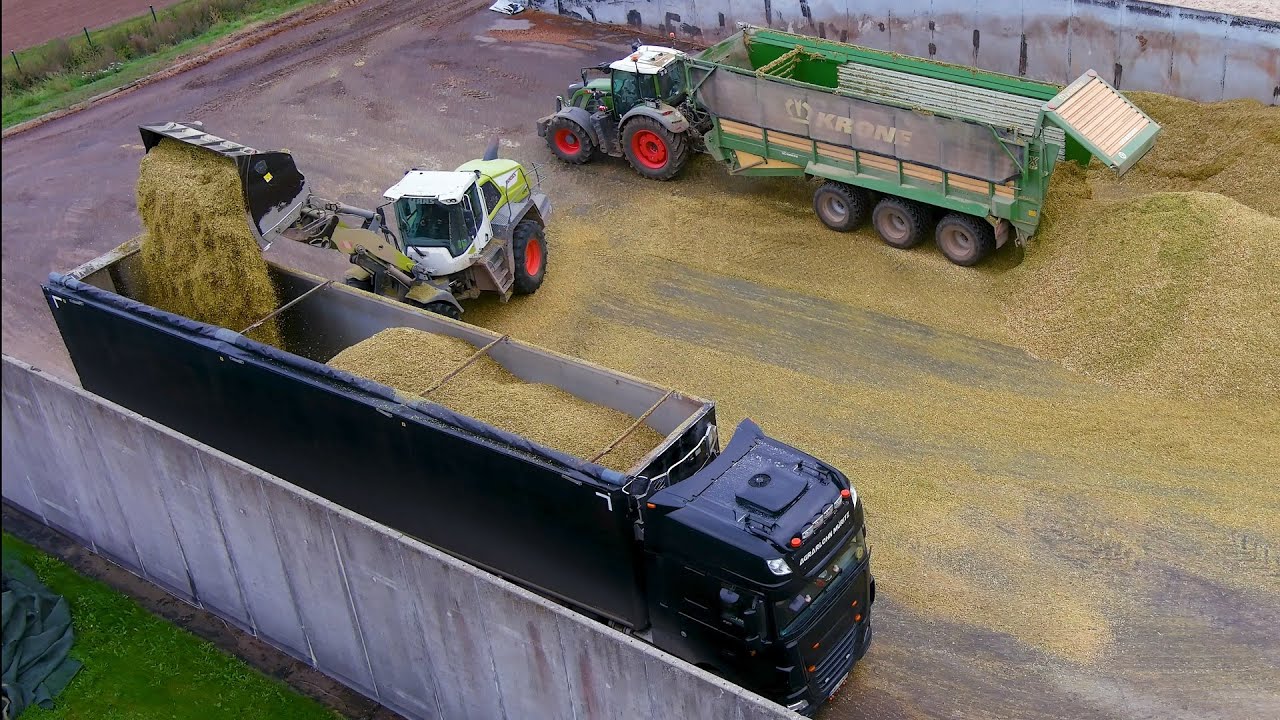 Mais 2022 : Claas Jaguar 990 | Fendt 942 | Agrarlohn Müritz | Scania Super | Agrartrucks | Maisernte