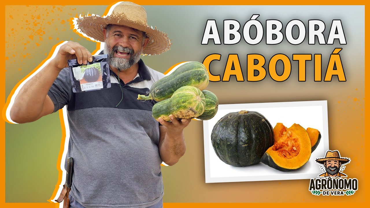 Como plantar CABOTIÁ do jeito CERTO