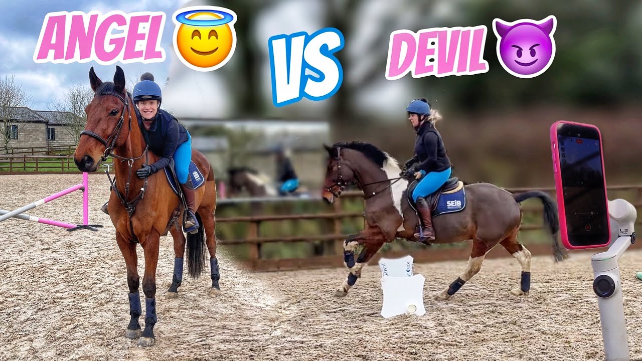ENZO VS BANSKY Jumping Both my Horses | Insta 360 Flow 2 Pro