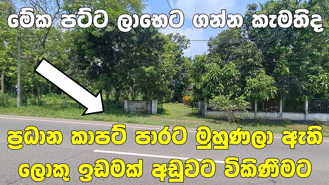 ඕන එකකට සෙට්වෙන සුපිරිම ඉඩමක් ගොඩක් අඩුවට | Big Land for sale in Sri Lanka | PB Home Land for sale