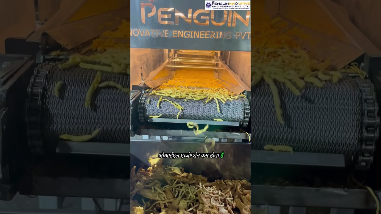 Namkeen fryer machine | Sev Frying Machine | Namkeen fryer | FMCG Machine 
