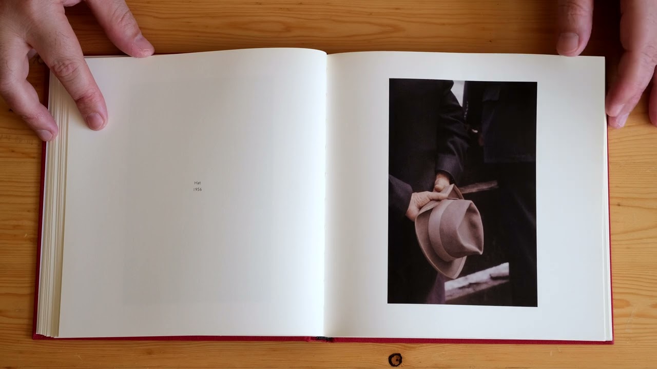 Saul Leiter: Early Color (STEIDL, 2014)