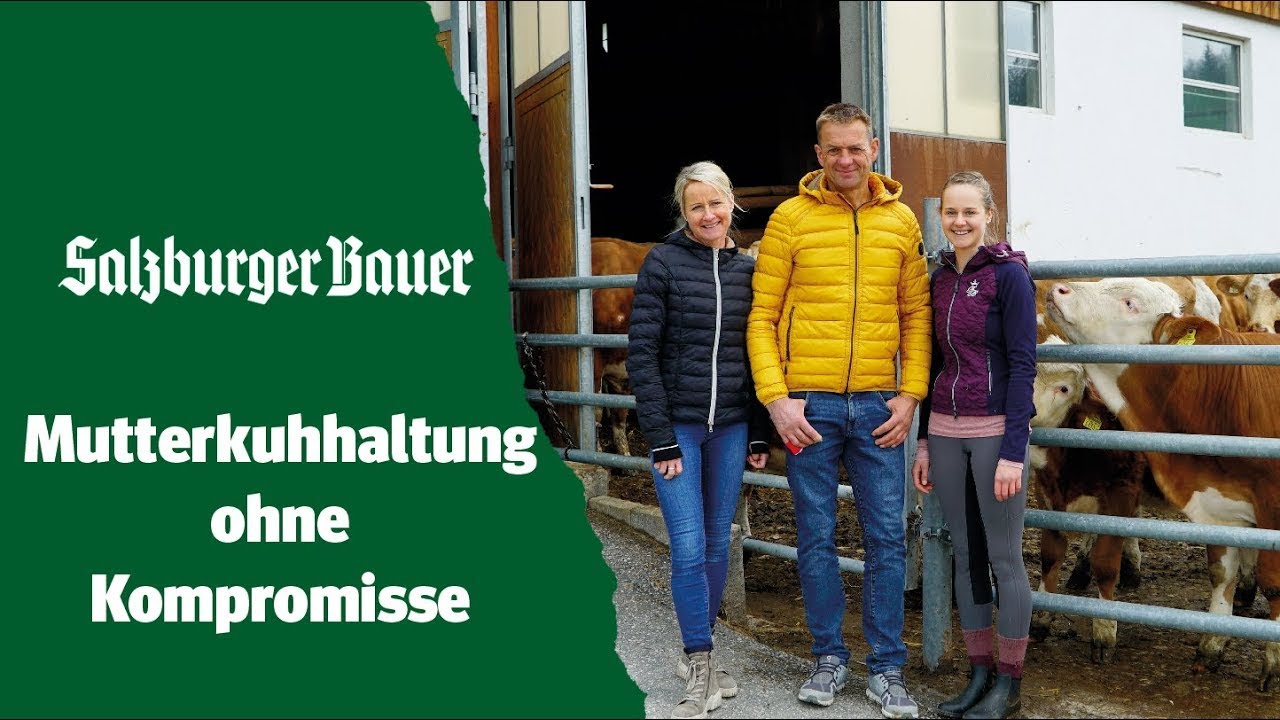 Bio-Kälber aus der Mutterkuhhaltung: Schranbachhof in Maria Alm