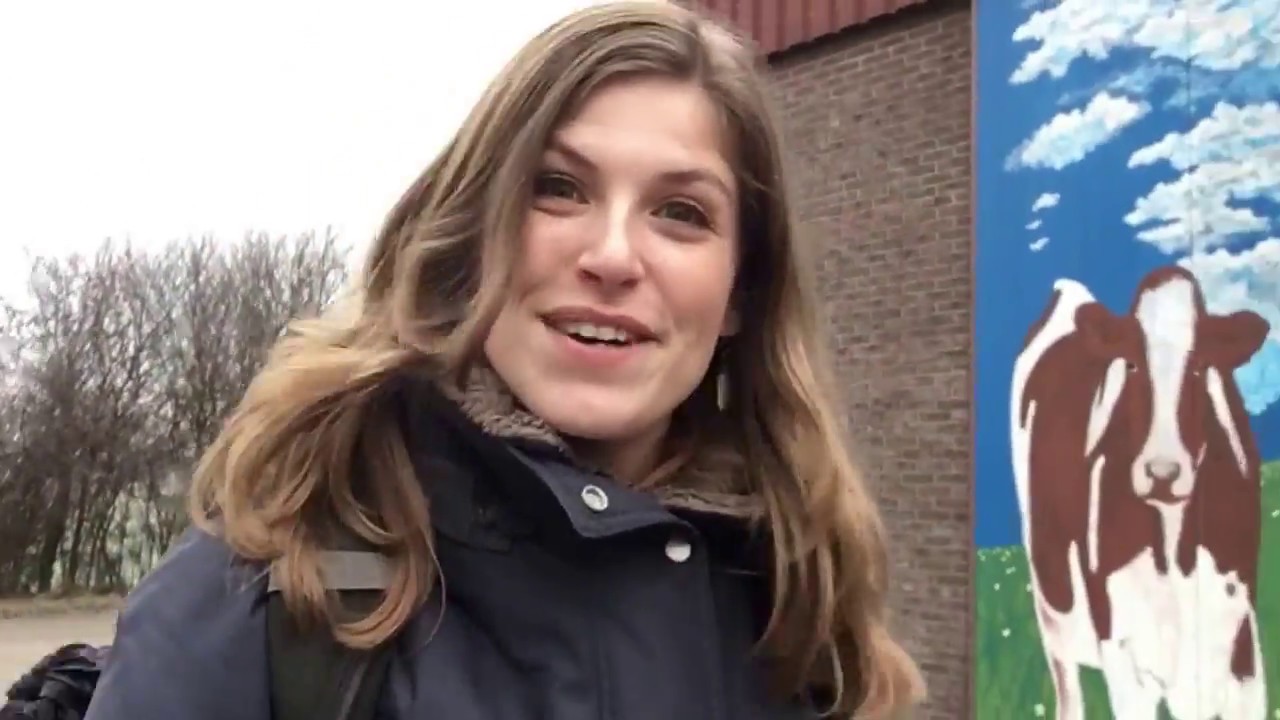 Gouden Grutto: Marcel Strijtveen